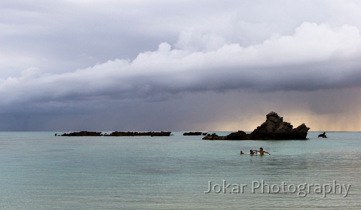 Lord Howe Island_20061212_138.jpg